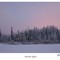Winter Light