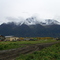 harvest time in Butte, Alaska