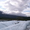 Matanuska Glacier - Looking S
