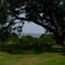 Fairhope, Alabama