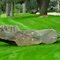 Cool Boulder