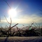 the cold 6