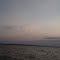Flock of Birds over Mobile Bay