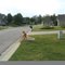 Camden Cove Lane