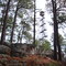 Smith Mountain Fire Tower