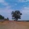 Crittenden County Arkansas -Country side
