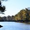 Bayou Meto River