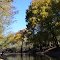 Bayou Meto River