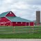 Country Farm