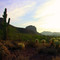 Lost Gold Mine Trail