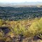 Desert near Phoenix