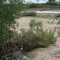 Shopping Cart in the Sand