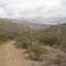 Hope Camp Trail