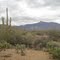 View east to Rincon Peak
