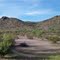 Summer Morning the Arizona Desert