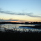 Cape Cod