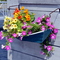 Boat planter, Parker's Boatyard
