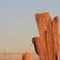 Moonrise