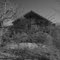 Feral Building
