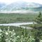 Black Rapids Vista