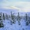 Black Rapids, Alaska, 1969©Pat Hathaway caviews.com