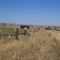 Bradley, Ca.  (View Easterly)