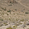 The stone walls at Willis Well - see Bill Mann's vol. 1 for the details