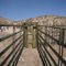 Cattle gates