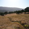 Calaveras County Scenic Drive, near Lodi
