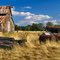 Barnage