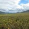 Chandalar Shelf
