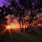 California Sunset