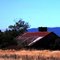 Old tired barn June 2011