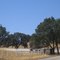 irgendwo in Californien