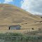 Landschaft bei Gilroy