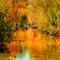 Indian Summer Creek