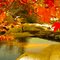 A Frame of Red Leaves