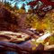 Wading In Mojave Creek