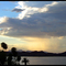 Havasu Palms