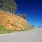 A vibrant-view along Mammoth/Minarets Rd near Caslte Park, 4/2012