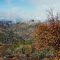 Fall at San Joaquin River