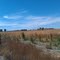 May Farm, Byers Colorado