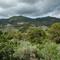 Santa Ynez Valley