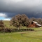 Old Ranch