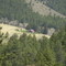 View of the historic Ranch homestead at Reynolds Ranch Park