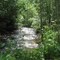 cool lush creek banks