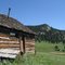 old Colorado log cabin & doghouse -- moved to Meyers Ranch Park