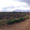 Small road to the west