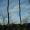 Eastford CT March
