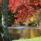 Fall at Peppertree Camping